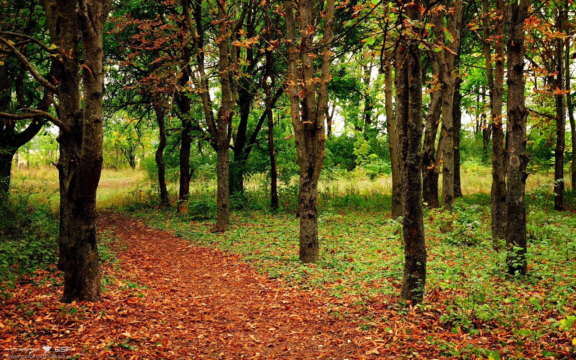 德甲赛季中期体能衰减趋势与恢复干预效果评估,德甲踢几场