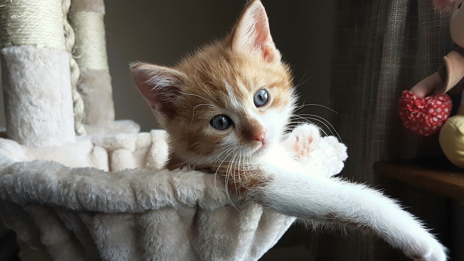 中超门将专项训练系统推动技术革新,中超门将本赛季扑救榜