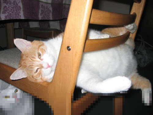 亚冠小组赛悬念丛生晋级形势复杂,亚冠小组第二