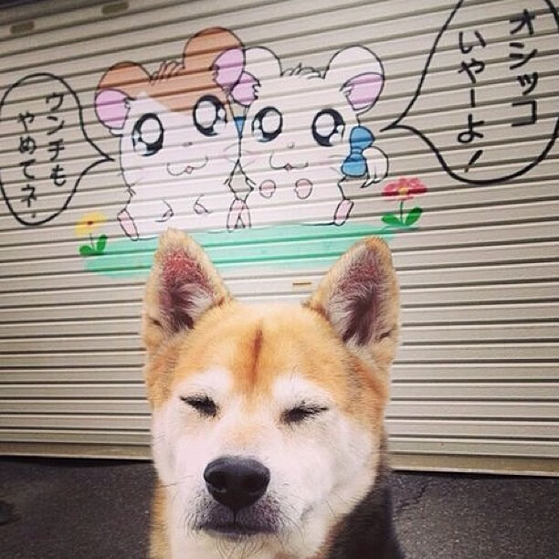 瑞典队未来计划:在国际大赛中不断突破自我,2021瑞典队