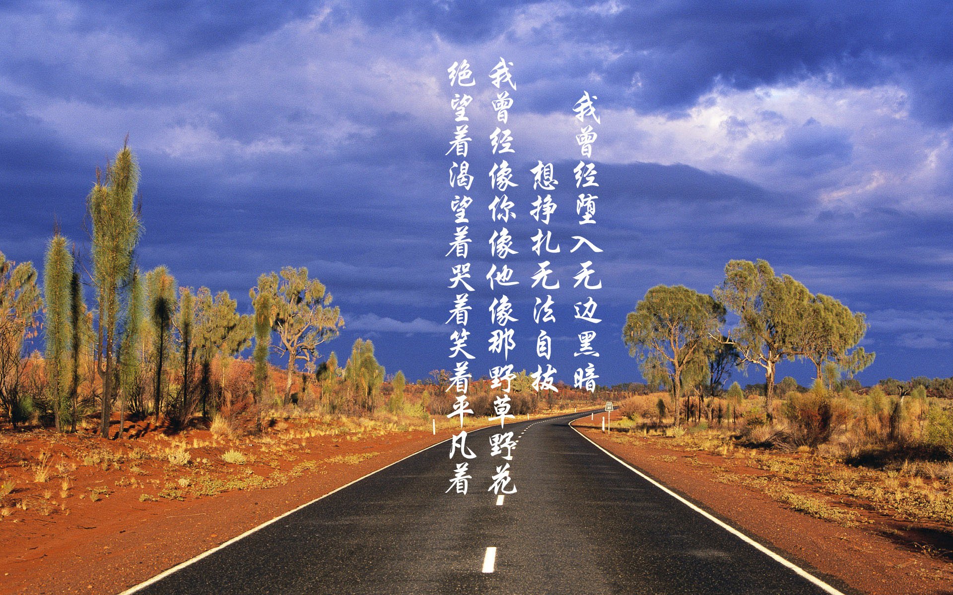 世界杯惊艳绽放:激情无限,精彩不断!,世界杯精彩片段视频