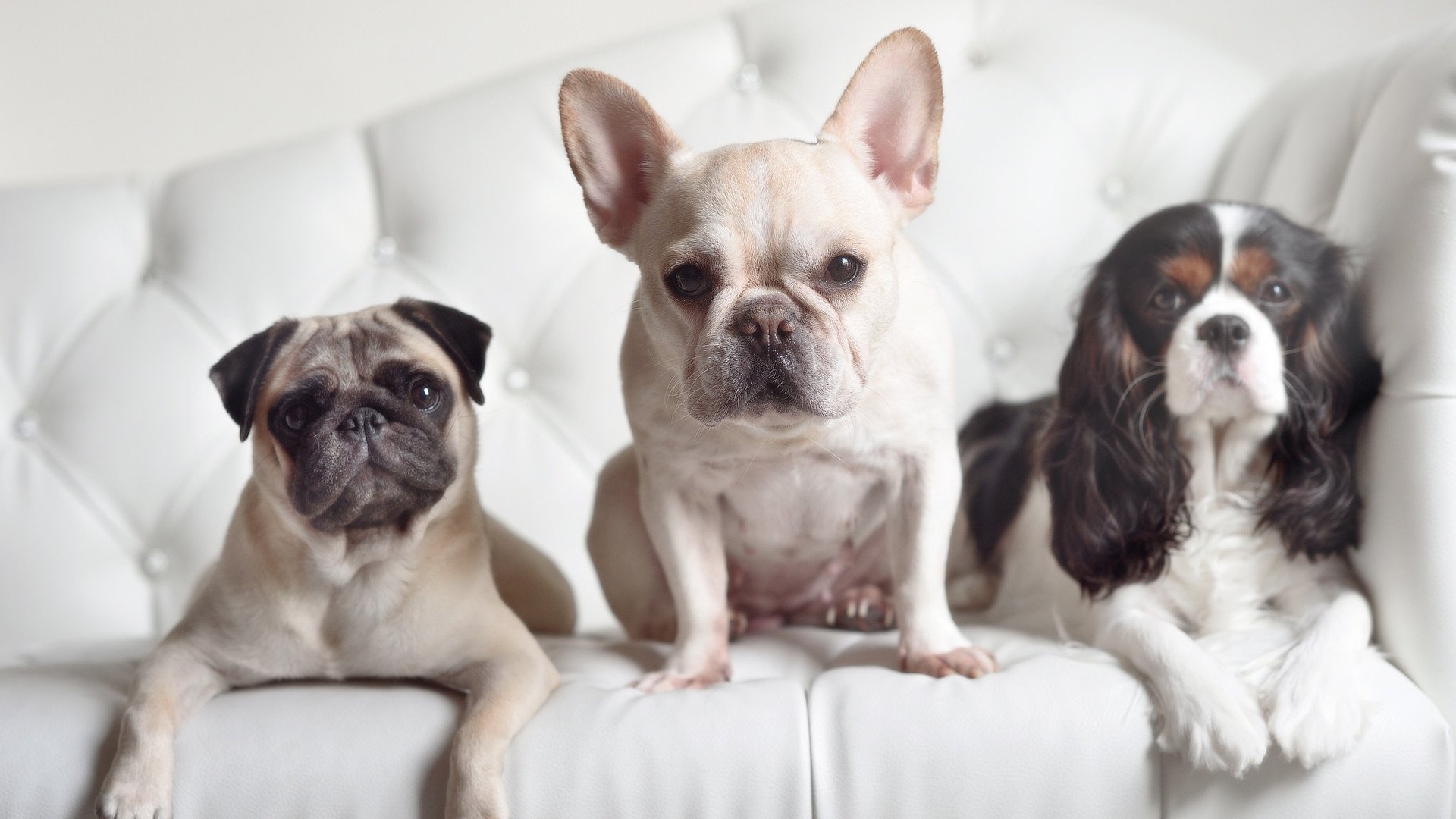 中学篮球推广篮球基础动作标准化教学，中学篮球运动