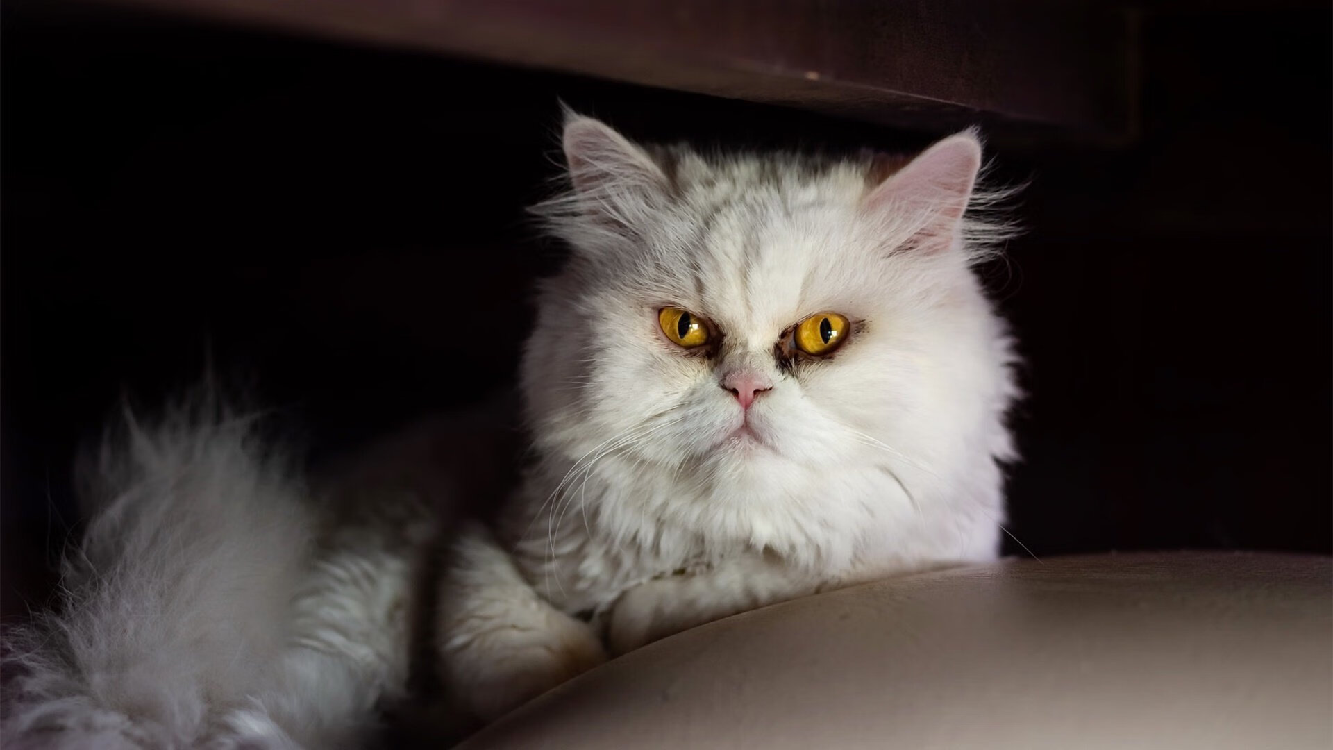 mk体育登录-国际足球界推动“绿色氛围”，比赛用水和电实现可循环使用