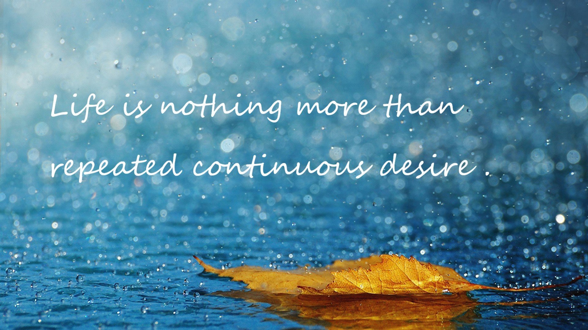 库里刷新纪录NBA总决赛,库里总决赛场次