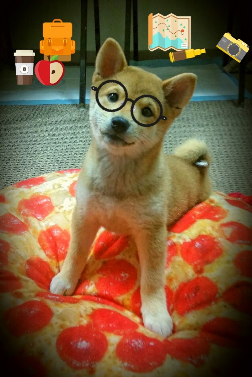 意甲极速攻势:突破瞬间点燃战场!,意甲极速直播