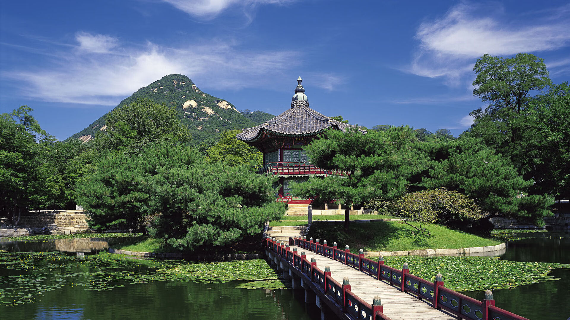 王宗源3米跳板决赛技术细腻，王宗源 跳水