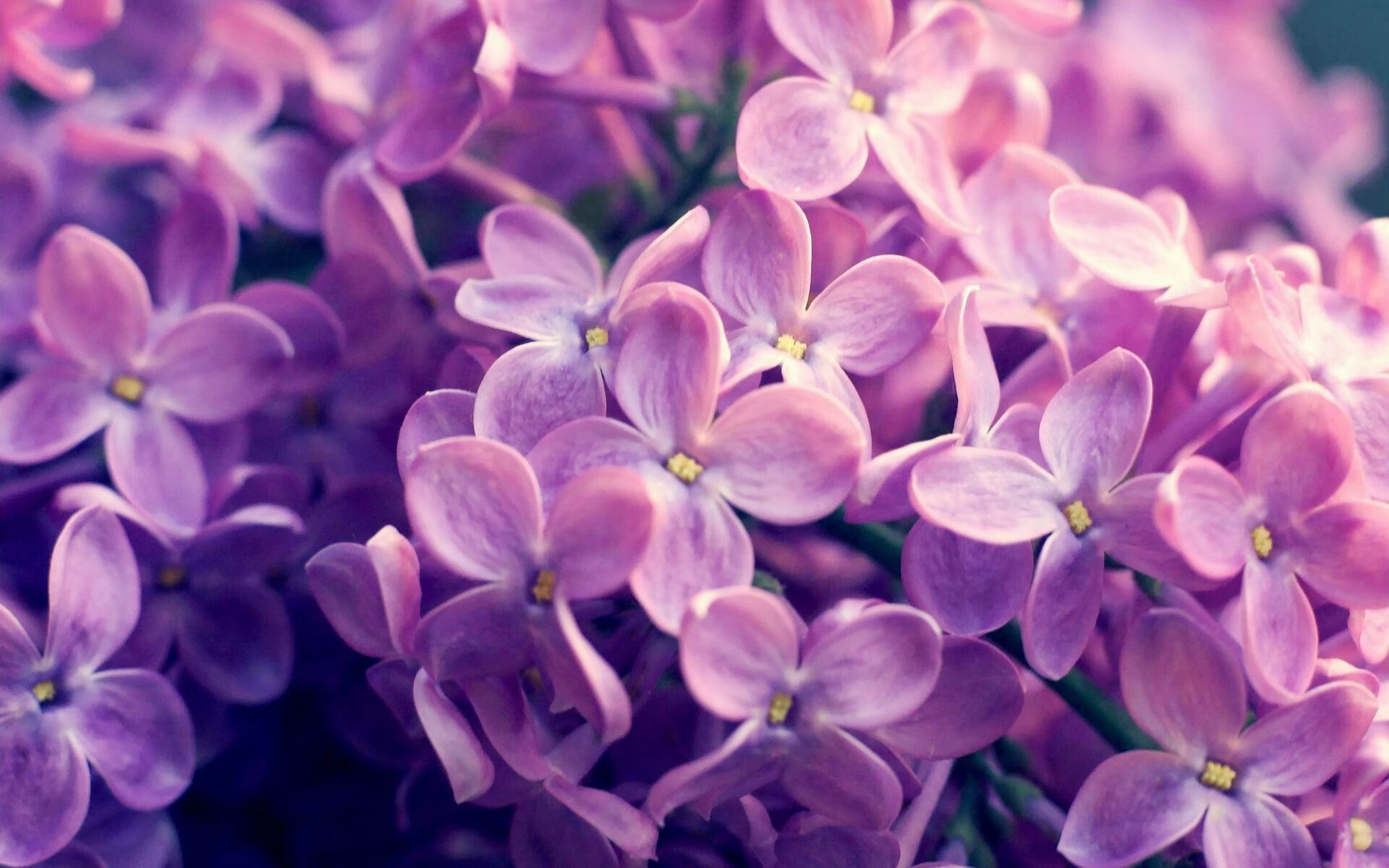 艾比·德尔福：站位与判断力出色，确保南非队防线稳定，艾比利德尔