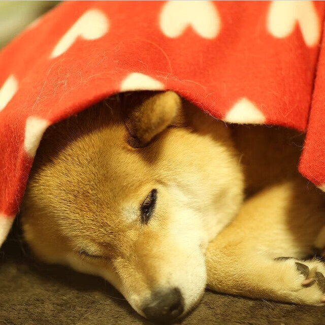 艾比·德尔福：站位与判断力出色，确保南非队防线稳定，艾比利德尔